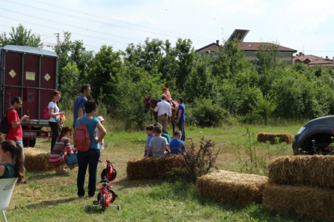 Oasi degli Amici Animali